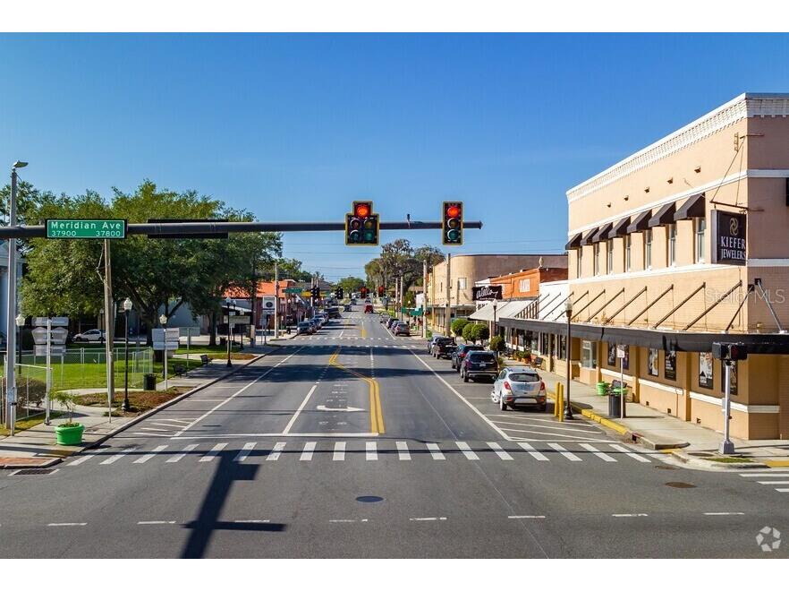 36920 Missouri Avenue Dade City FL 33523 TB8503020 image41