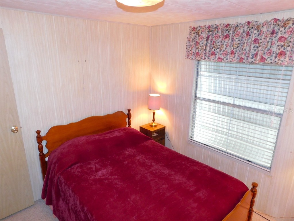 36934 Beth Avenue Zephyrhills FL 33542 TB8416586 image18