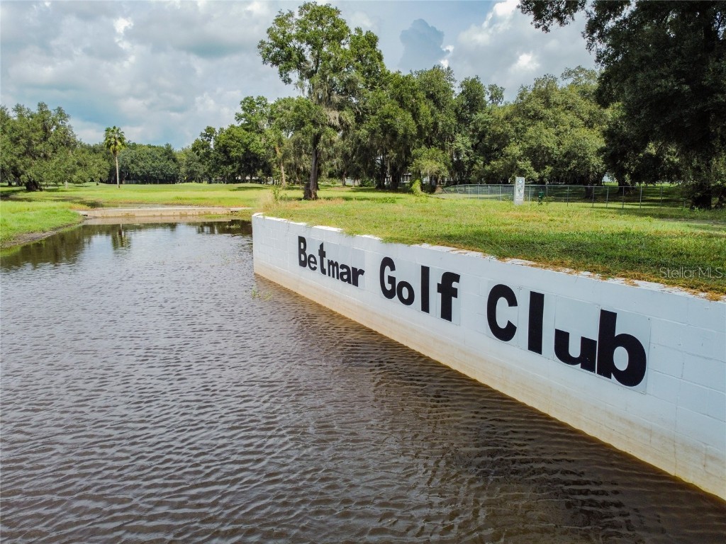 36934 Beth Avenue Zephyrhills FL 33542 TB8416586 image43