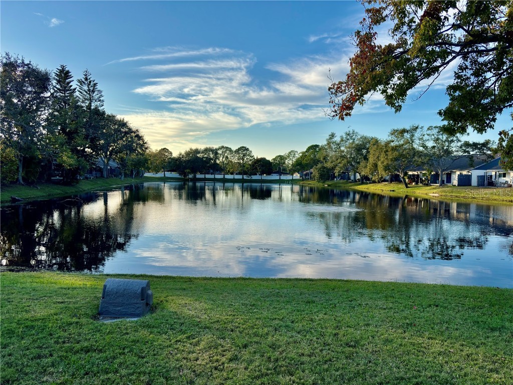 3694 El Camino Court Largo FL 33771 TB8456705 image24