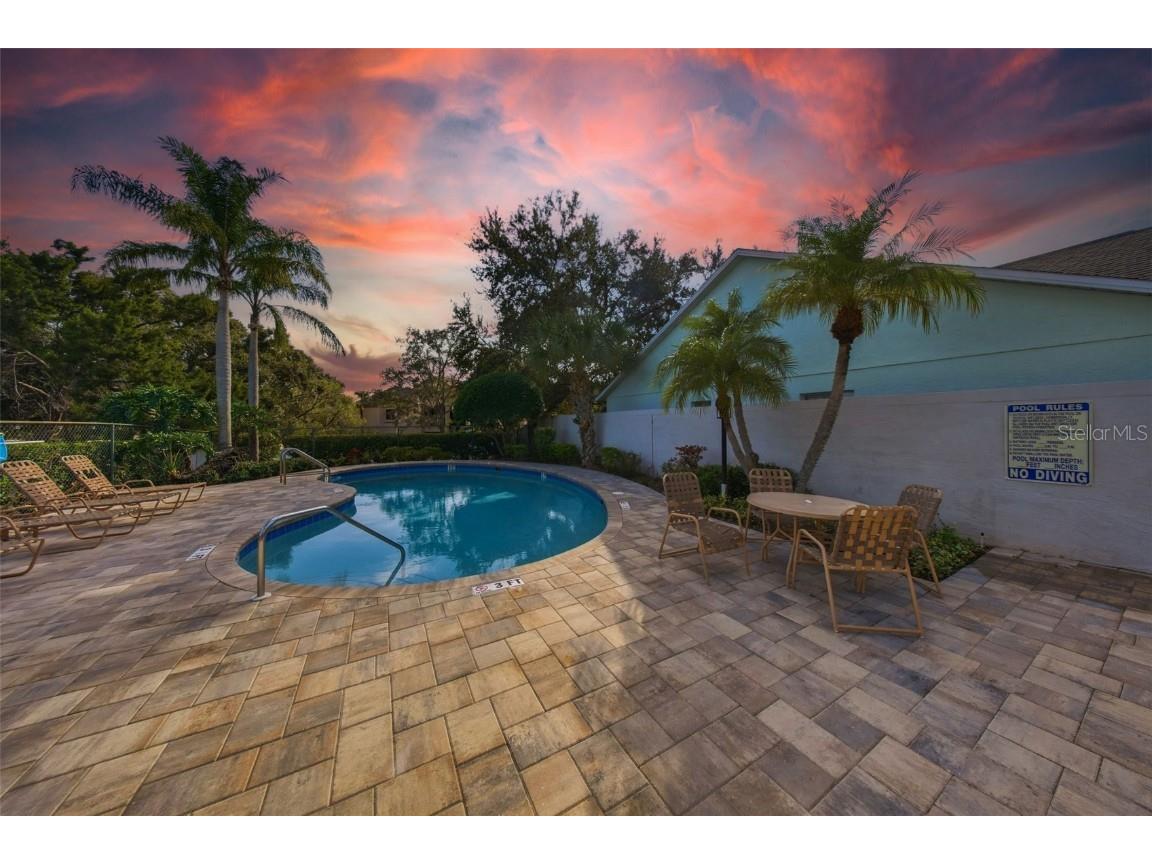 3694 Sapphire Lane Palm Harbor FL 34684 TB8454229 image33