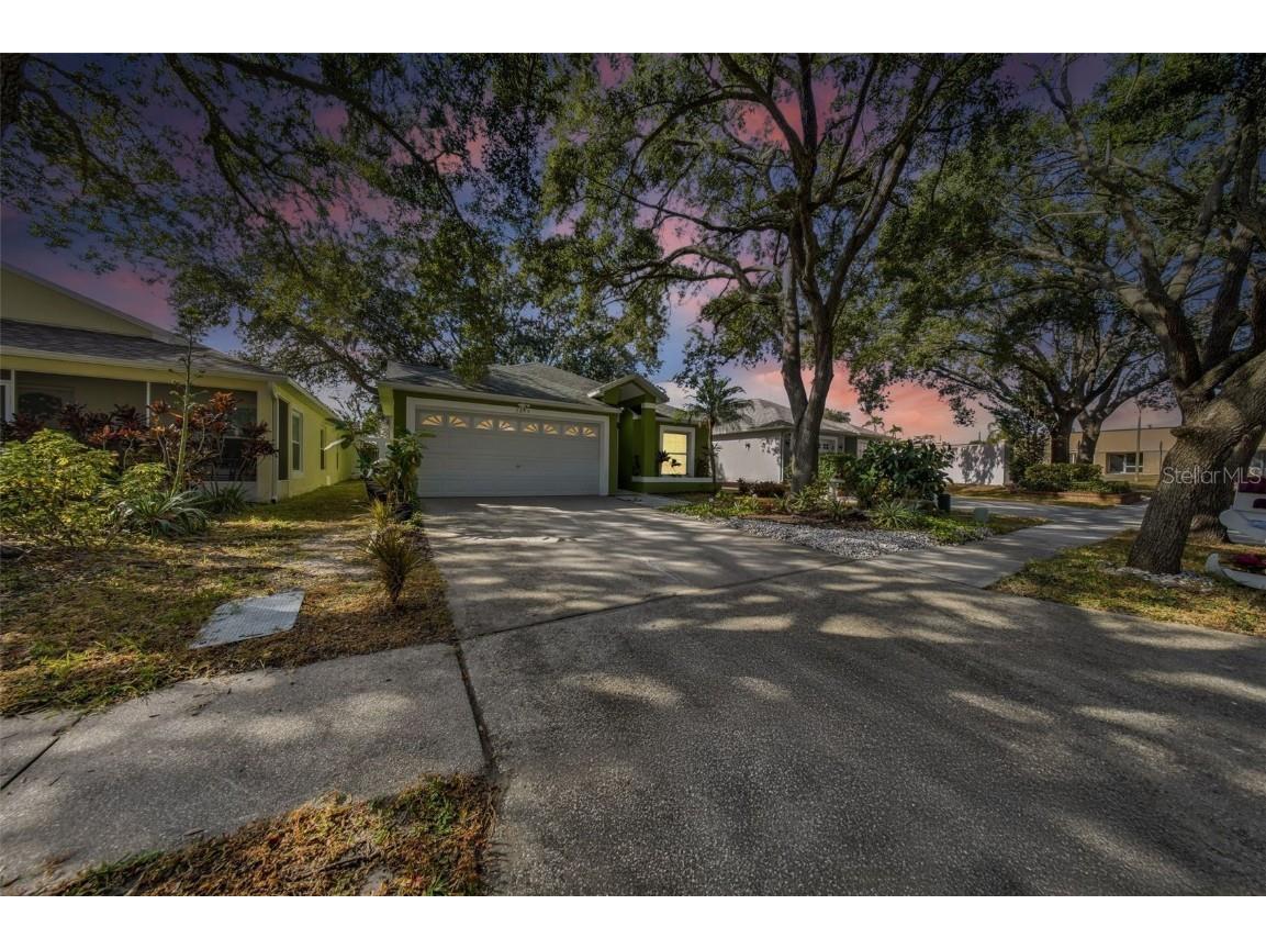 3694 Sapphire Lane Palm Harbor FL 34684 TB8454229 image4