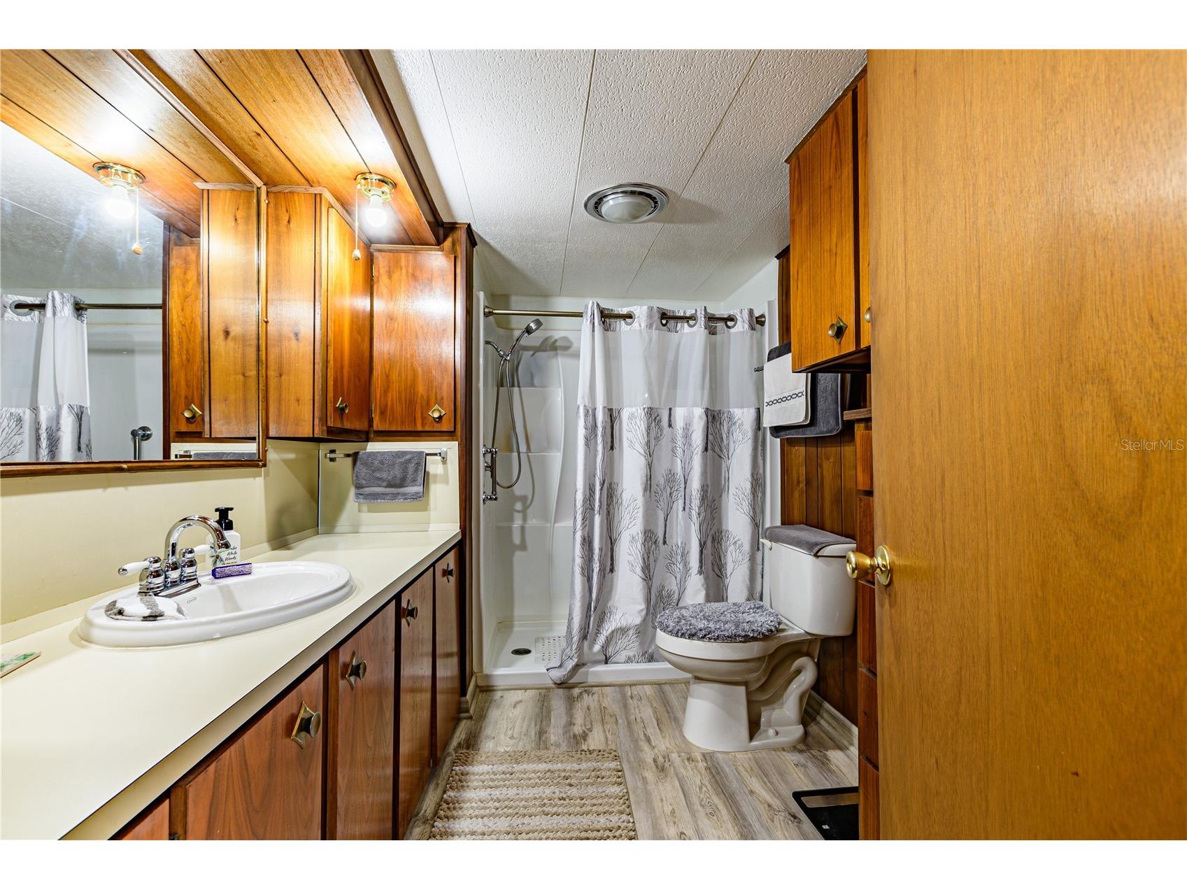 36946 Grace Avenue Zephyrhills FL 33542 TB8474088 image29