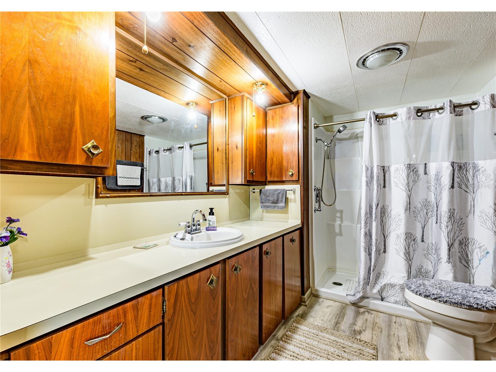 36946 Grace Avenue Zephyrhills FL 33542 TB8474088 image30