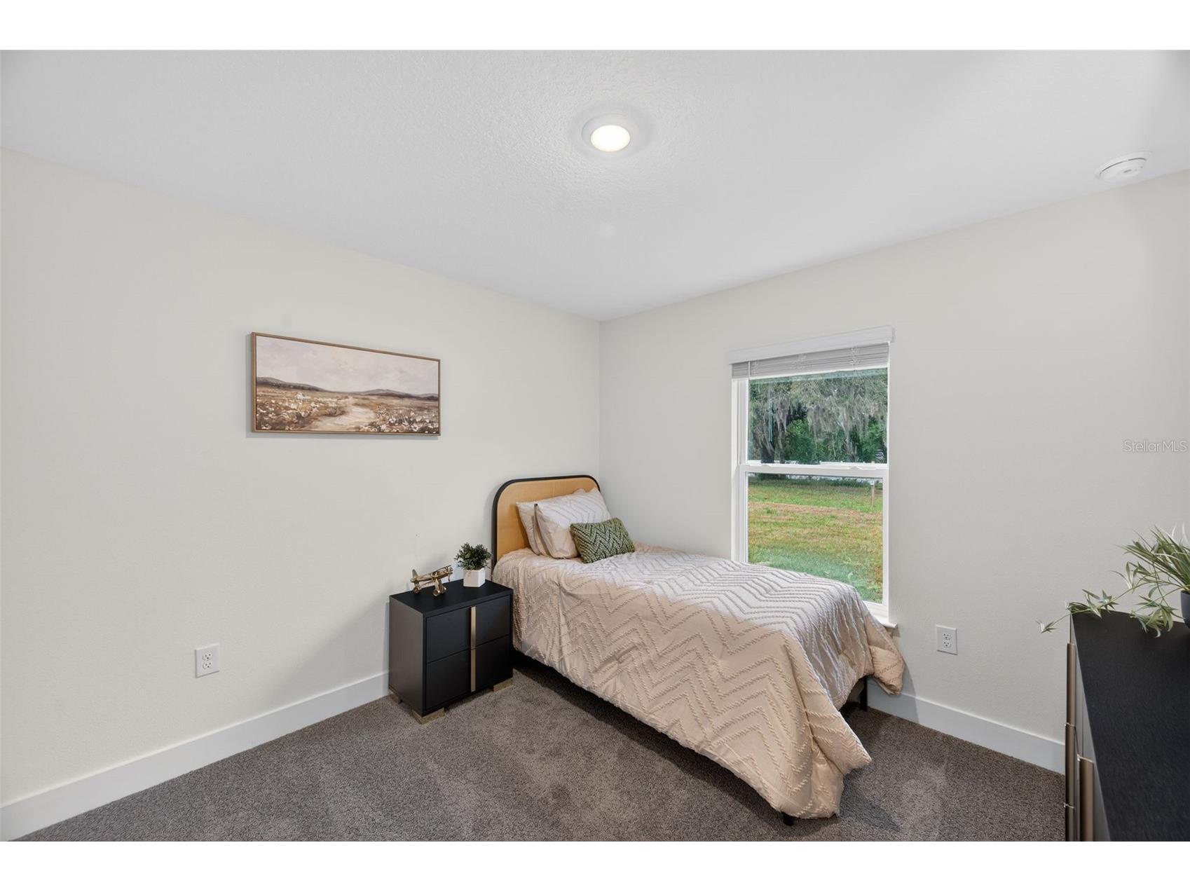 36946 Hidden View Dade City FL 33523 TB8426245 image31