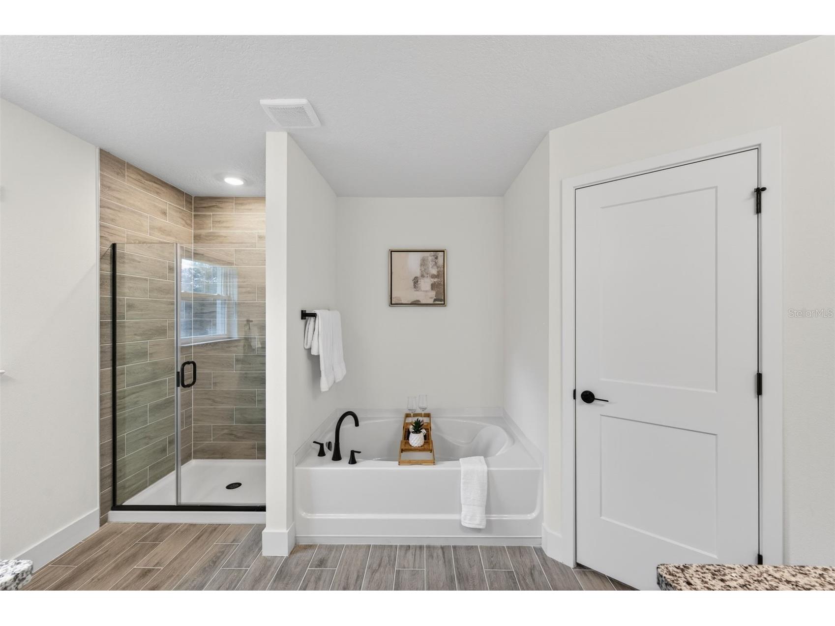 36946 Hidden View Dade City FL 33523 TB8426245 image41