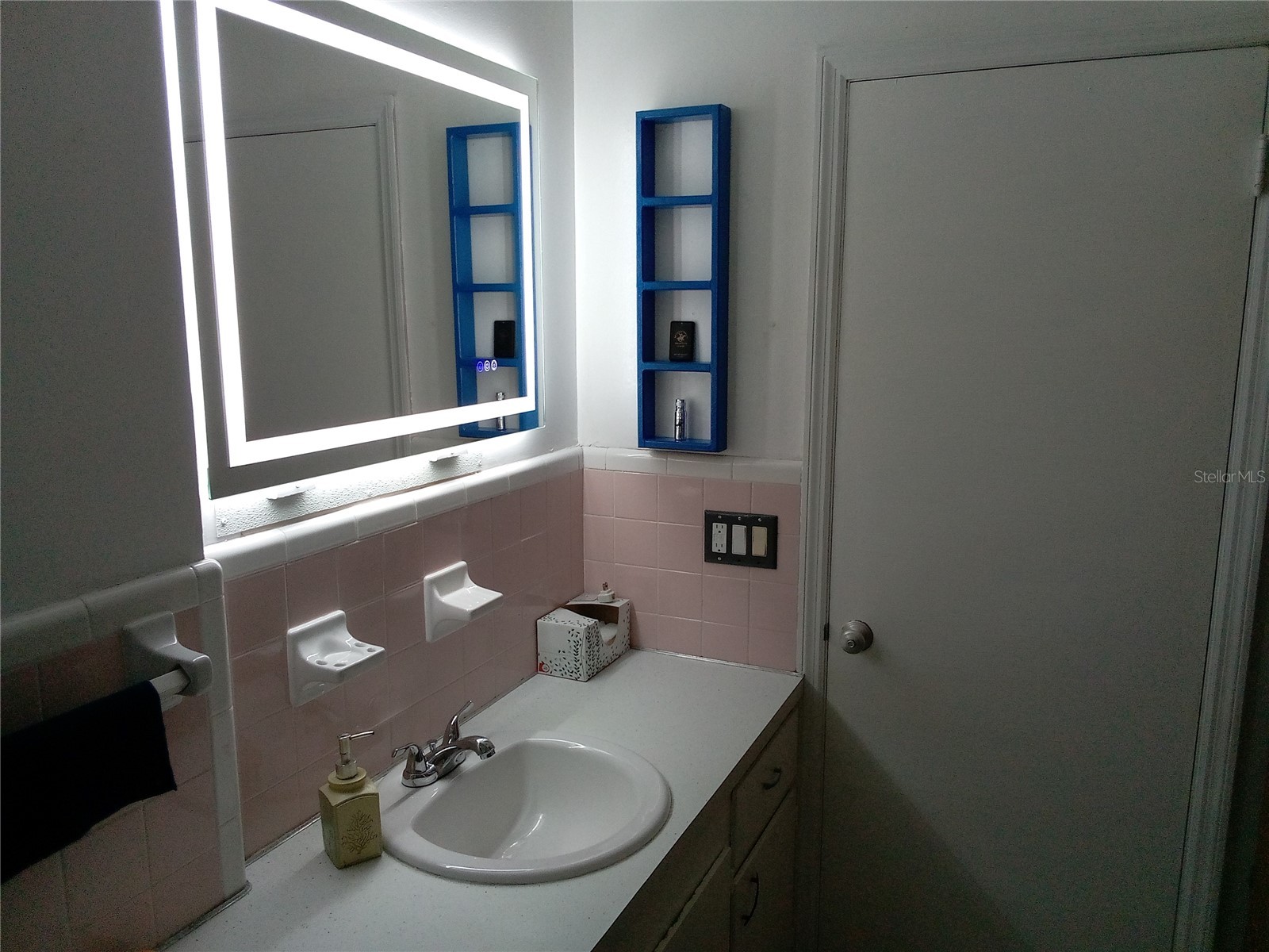 3695 Dale Court Mount Dora FL 32757 W7881875 image13