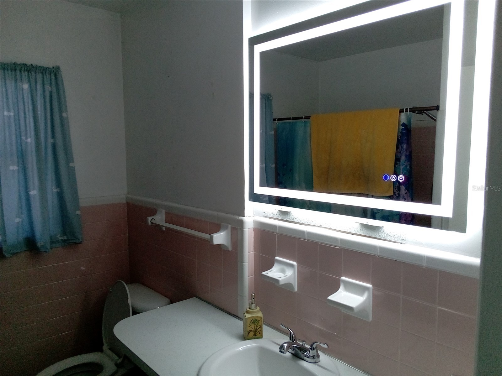 3695 Dale Court Mount Dora FL 32757 W7881875 image14