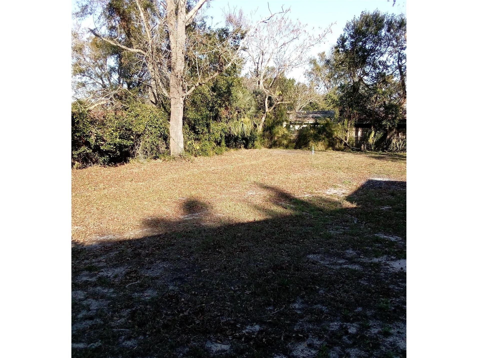 3695 Dale Court Mount Dora FL 32757 W7881875 image4