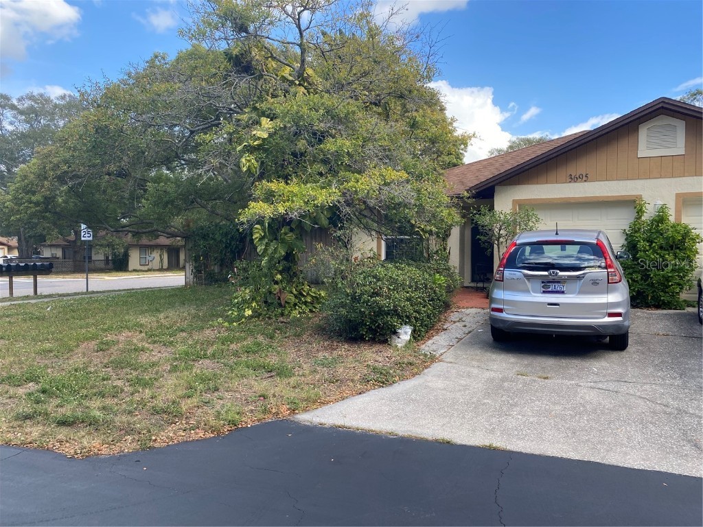 3695 Peter Court Palm Harbor FL 34684 U8220041 image1