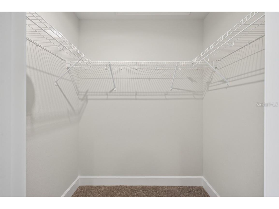 36951 Hidden View Dade City FL 33523 TB8426241 image55