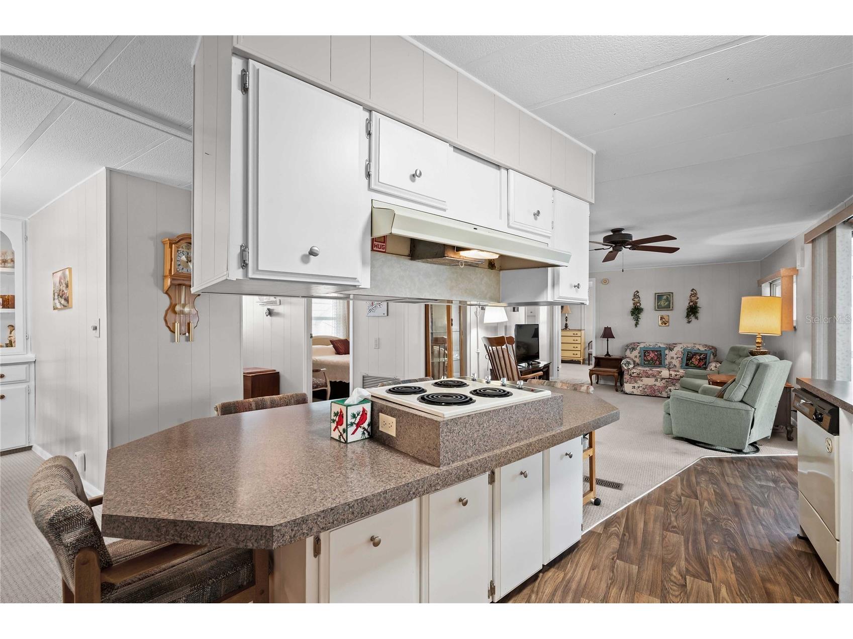 36957 Grace Avenue Zephyrhills FL 33542 TB8521830 image12