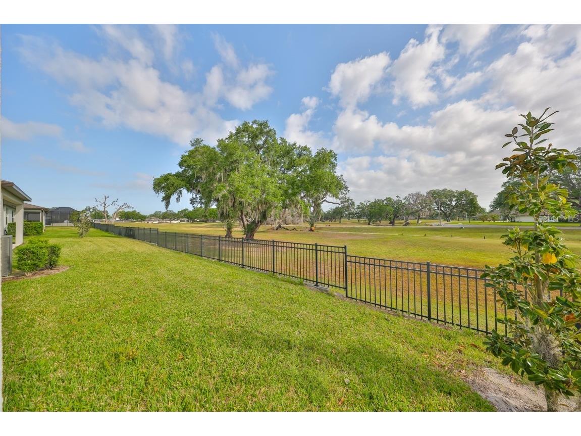 36959 Highland Meadows Court Zephyrhills FL 33542 TB8378543 image34