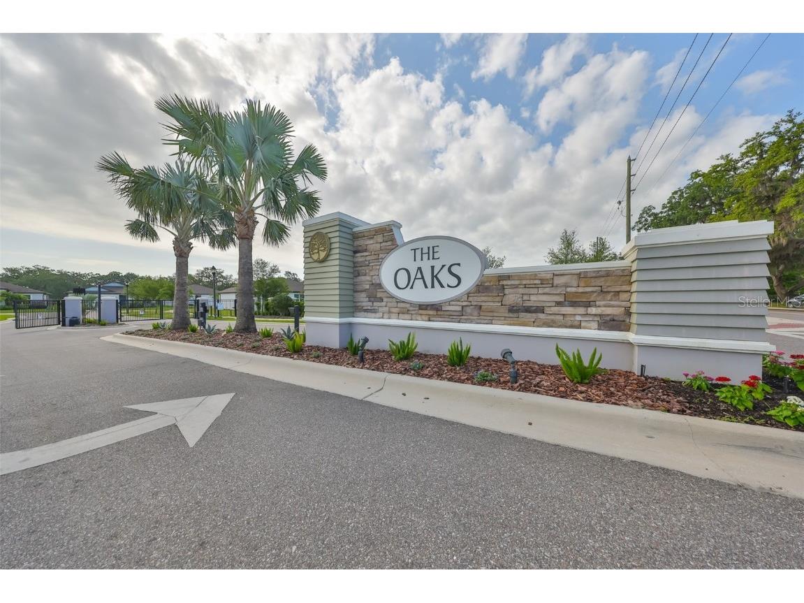 36959 Highland Meadows Court Zephyrhills FL 33542 TB8378543 image37