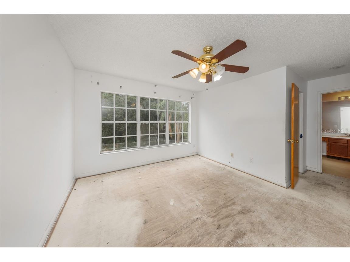 3697 Fremantle Drive Palm Harbor FL 34684 TB8430532 image15