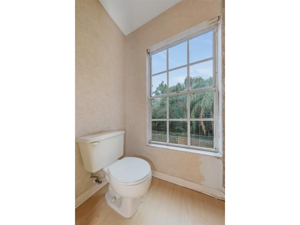 3697 Fremantle Drive Palm Harbor FL 34684 TB8430532 image18