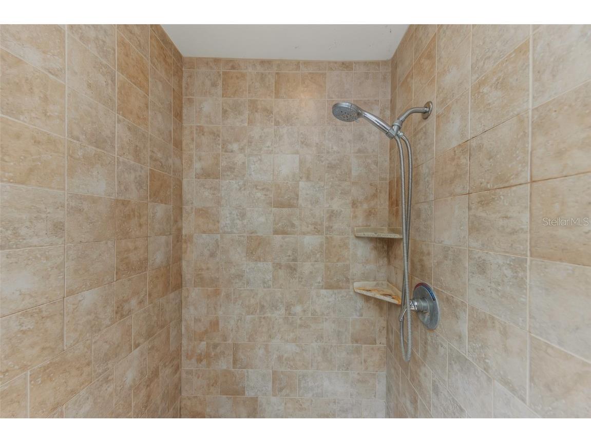 3697 Fremantle Drive Palm Harbor FL 34684 TB8430532 image19