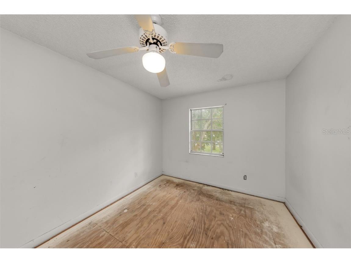 3697 Fremantle Drive Palm Harbor FL 34684 TB8430532 image23