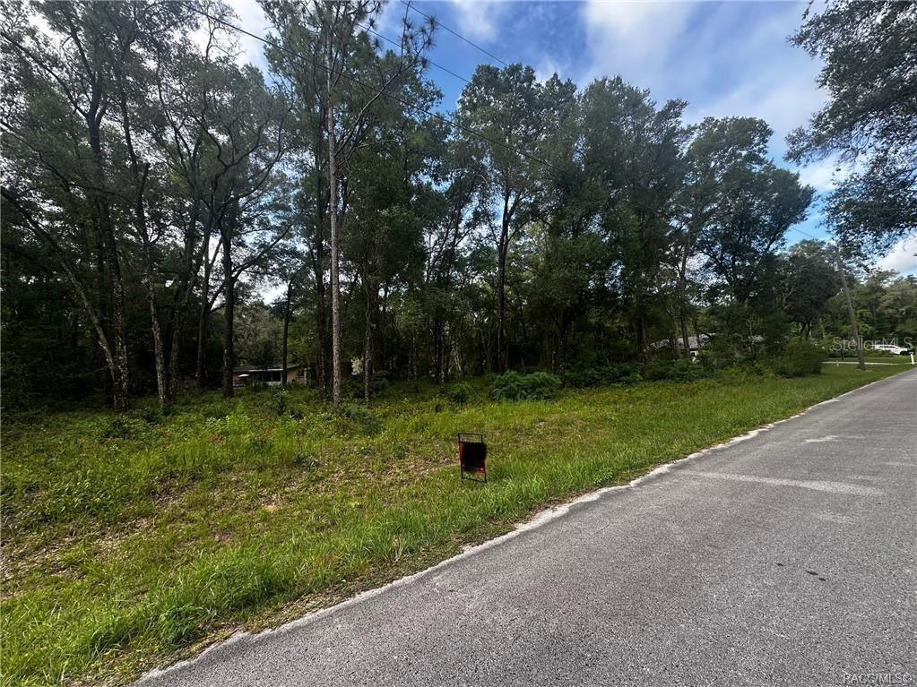 3698 E Johnson Place Inverness FL 34453 OM726359 image2