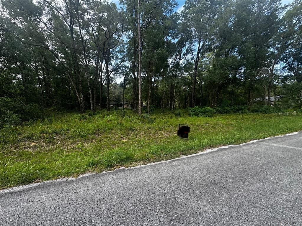 3698 E Johnson Place Inverness FL 34453 OM726359 image3