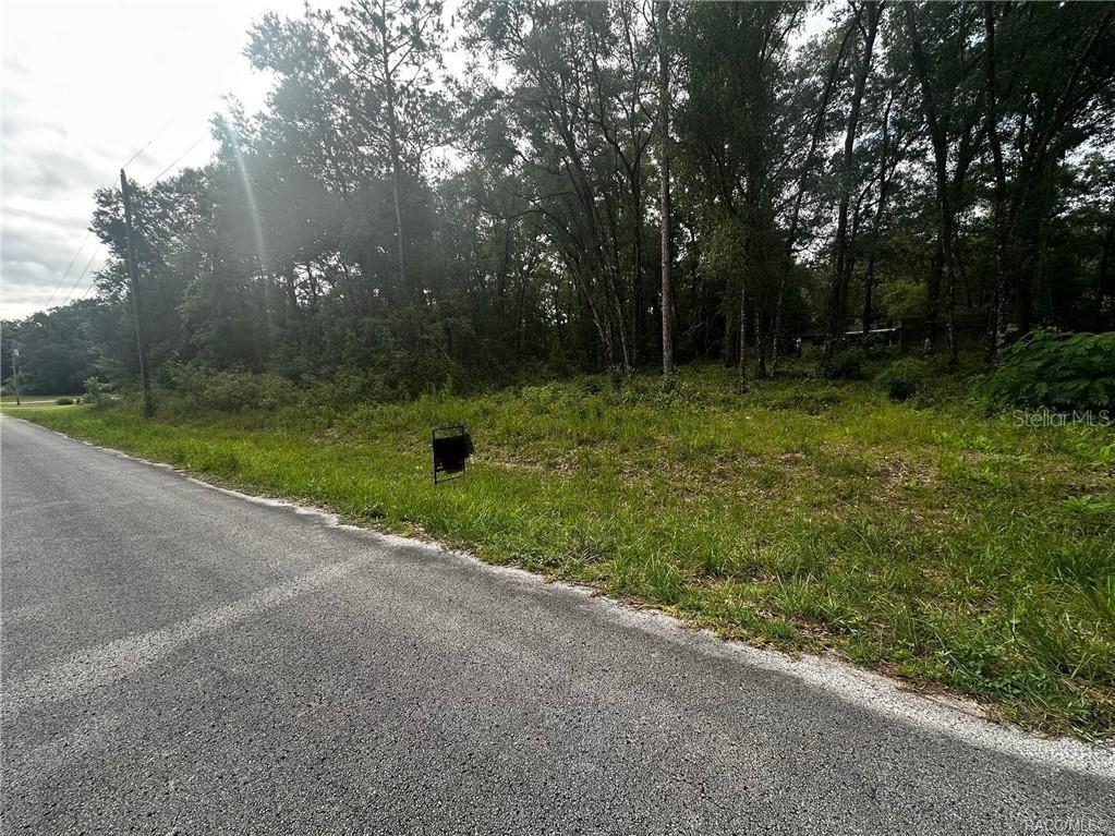 3698 E Johnson Place Inverness FL 34453 OM726359 image4