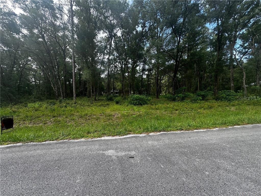 3698 E Johnson Place Inverness FL 34453 OM726359 image5