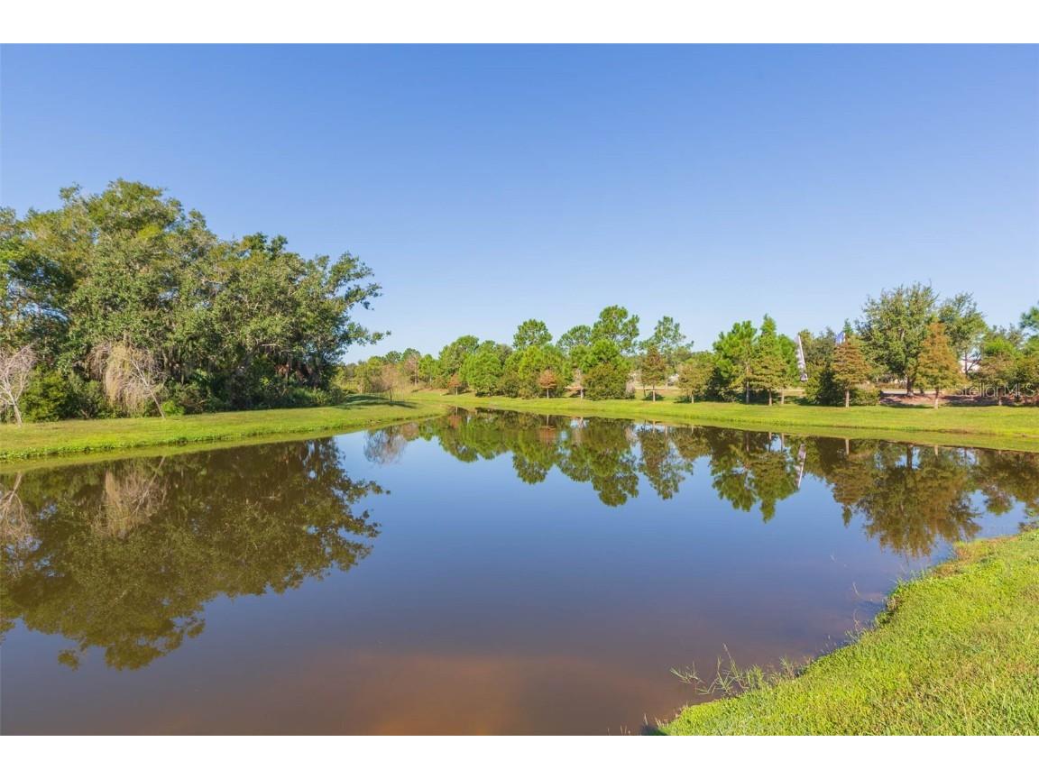 3699 Front Park Drive Wesley Chapel FL 33543 TB8432640 image4