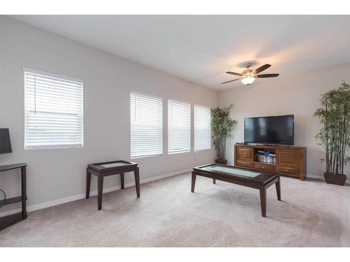 3699 Front Park Drive Wesley Chapel FL 33543 TB8432640 image42