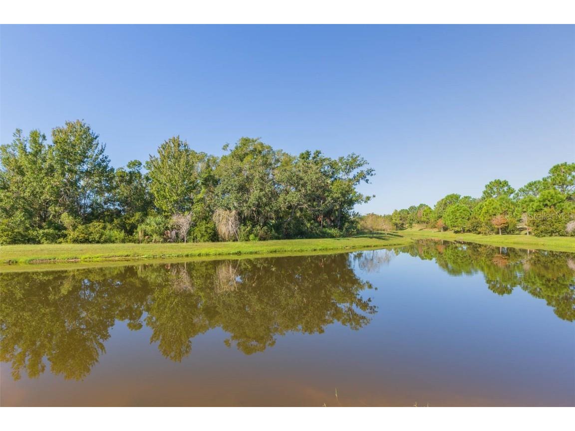 3699 Front Park Drive Wesley Chapel FL 33543 TB8432640 image59