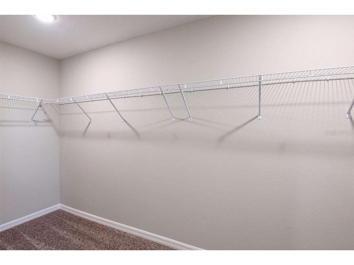 36996 Sagemoor Drive Zephyrhills FL 33541 TB8453742 image16