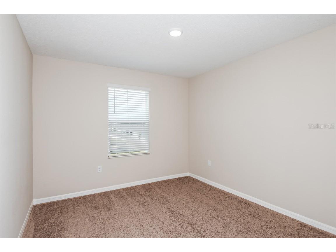 36996 Sagemoor Drive Zephyrhills FL 33541 TB8453742 image21