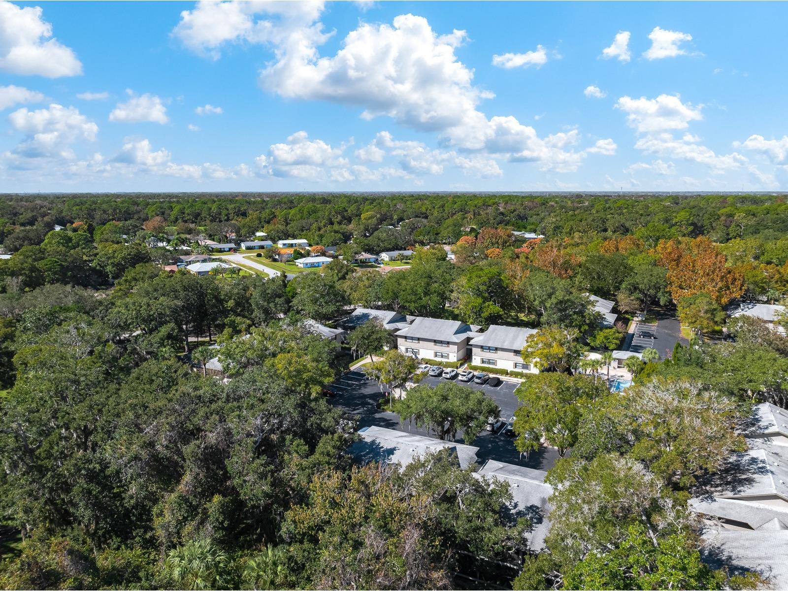 37 Alcira Court #37 Saint Augustine FL 32086 FC314014 image39