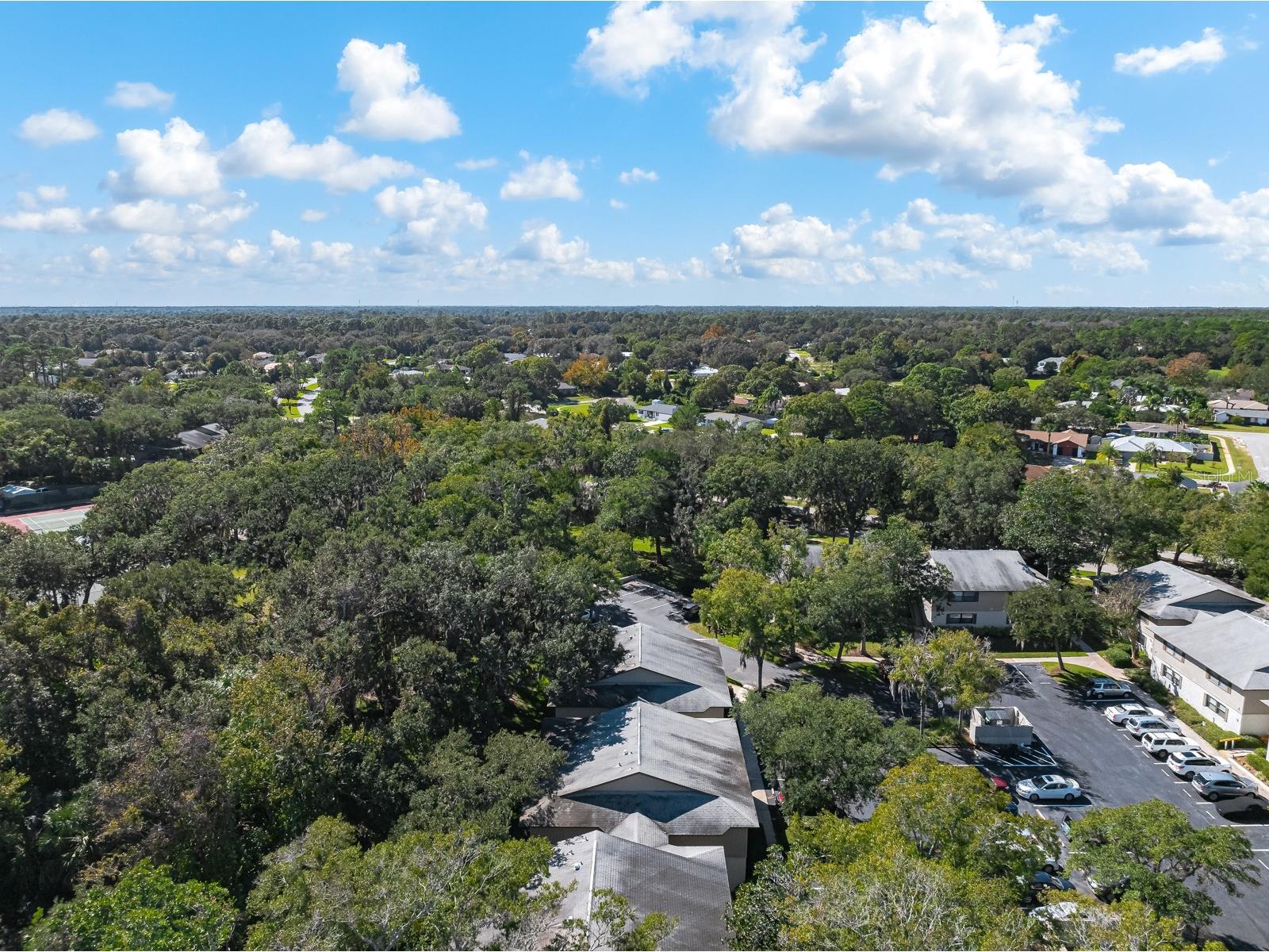 37 Alcira Court #37 Saint Augustine FL 32086 FC314014 image40