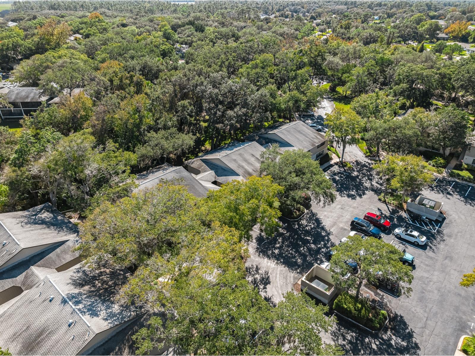 37 Alcira Court #37 Saint Augustine FL 32086 FC314014 image50