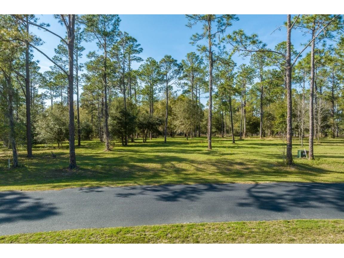 37 Bonsmara Drive Groveland FL 34736 - Clearwater Lake G5065460 image1