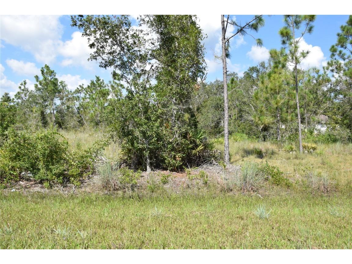 37 Evergreen Street Punta Gorda FL 33982 C7480643 image1