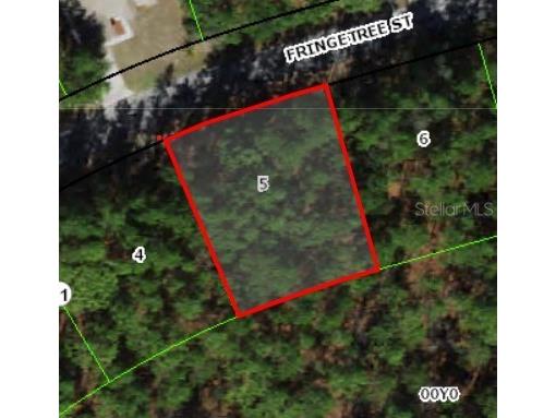 37 Fringetree Street Homosassa FL 34446 TB8398298 image1