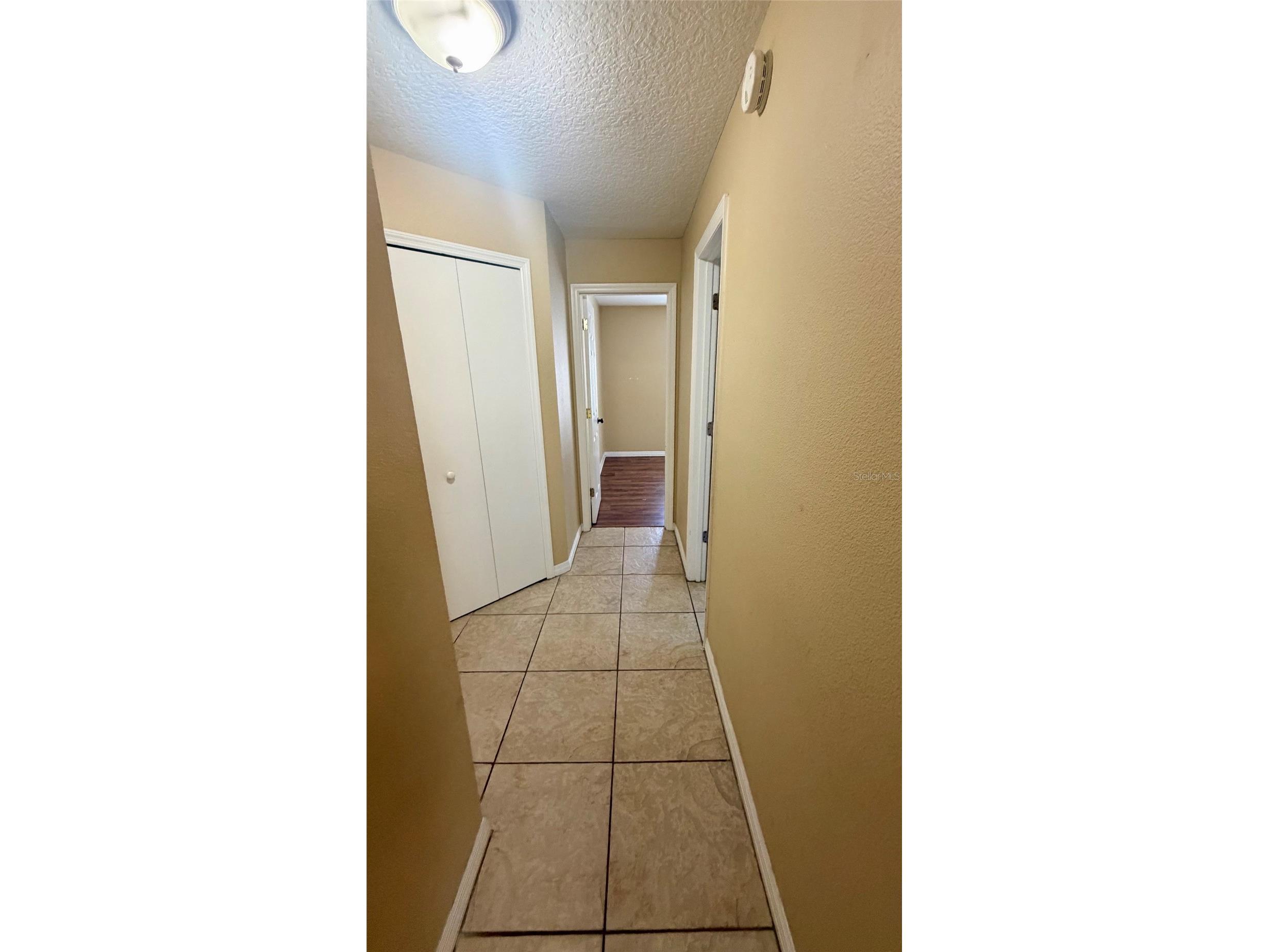 37 Hollow Branch Road Apopka FL 32703 O6407257 image21