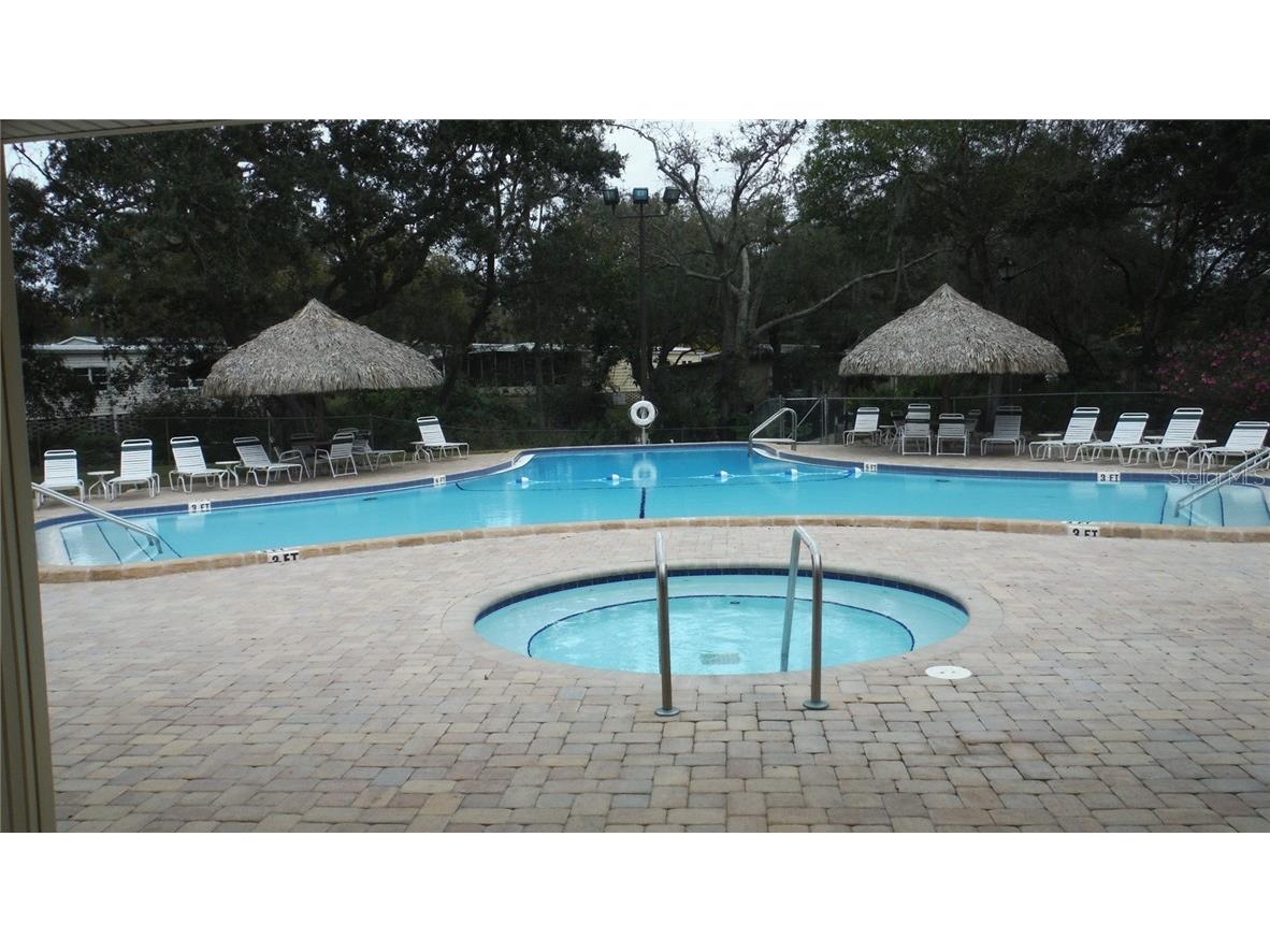 37 Honey Bear Court #54 Safety Harbor FL 34695 TB8524173 image21