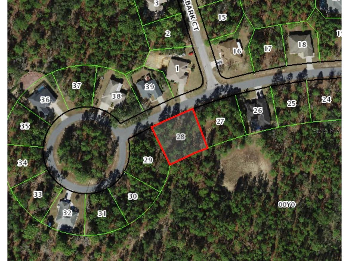 37 Milbark Drive Homosassa FL 34446 W7885874 image2