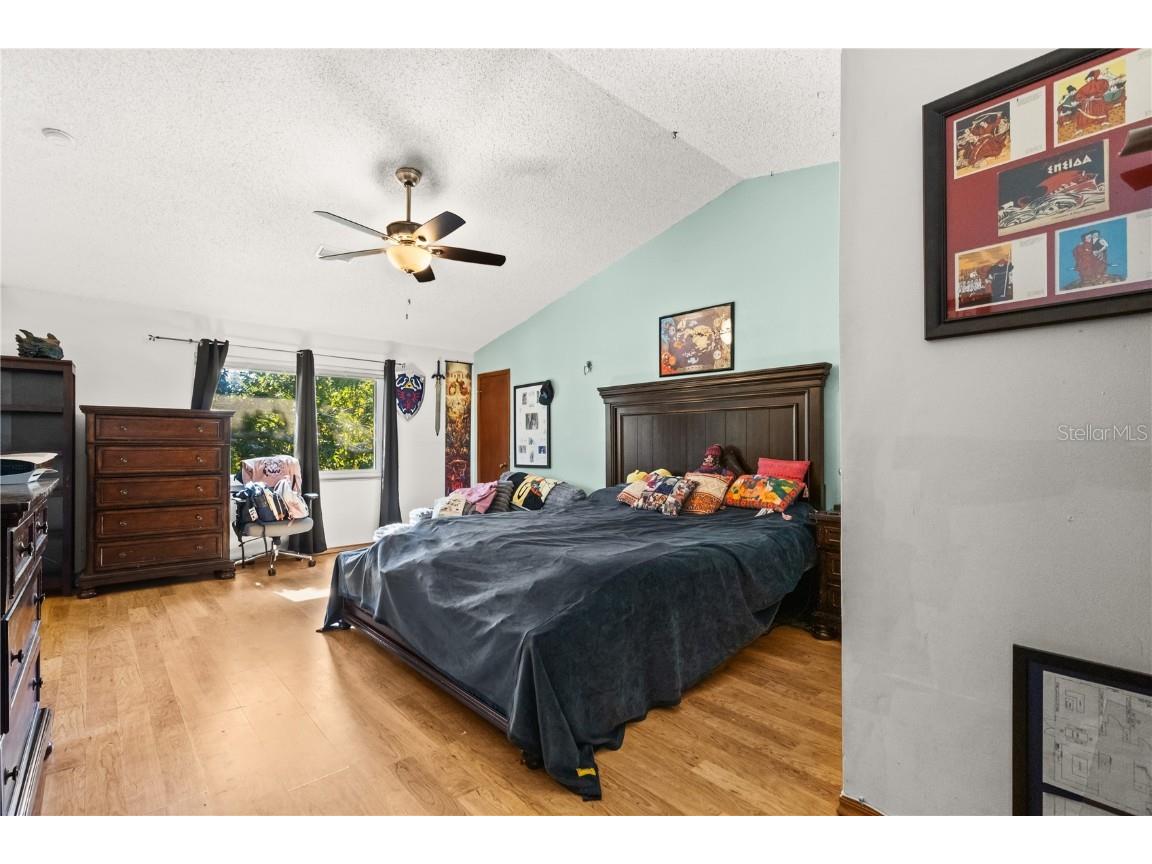 37 Osprey Street Safety Harbor FL 34695 - SAFETY HARBOR WATERFRONT PARK O6363924 image18