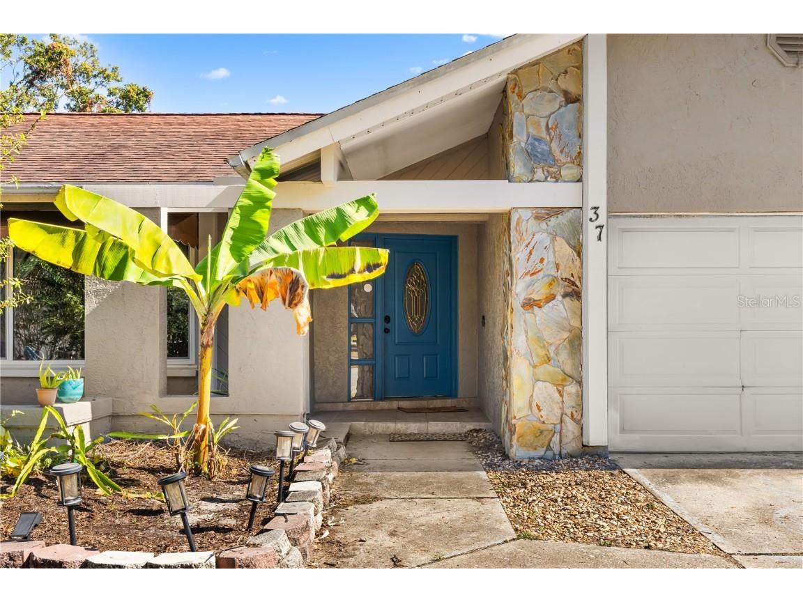 37 Osprey Street Safety Harbor FL 34695 - SAFETY HARBOR WATERFRONT PARK O6363924 image2