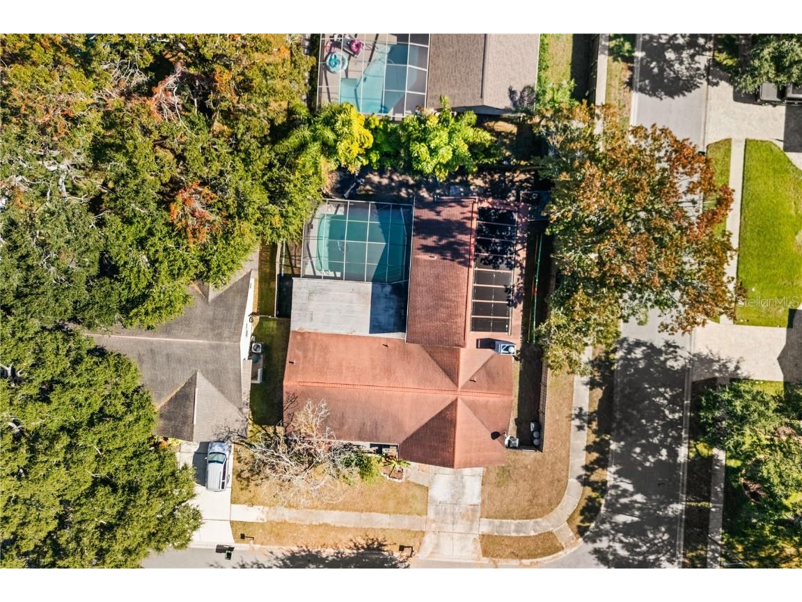 37 Osprey Street Safety Harbor FL 34695 - SAFETY HARBOR WATERFRONT PARK O6363924 image31