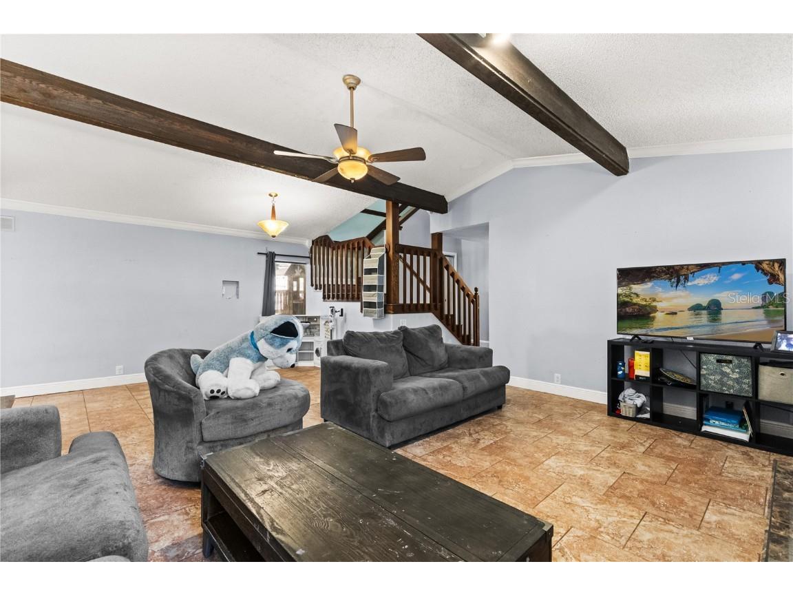 37 Osprey Street Safety Harbor FL 34695 - SAFETY HARBOR WATERFRONT PARK O6363924 image7