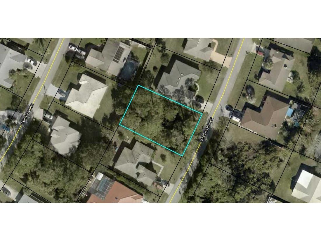 37 Patchogue Lane Palm Coast FL 32164 FC304927 image1
