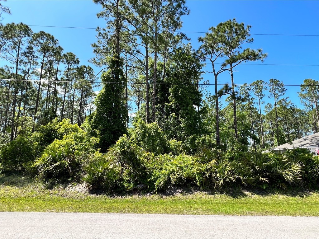 37 Post View Drive Palm Coast FL 32164 FC290815 image1