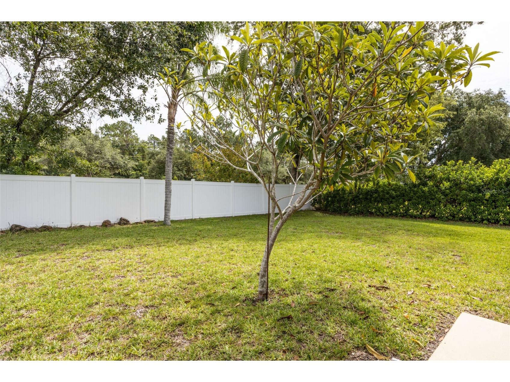 37 Rockefeller Drive Palm Coast FL 32164 FC319272 image14