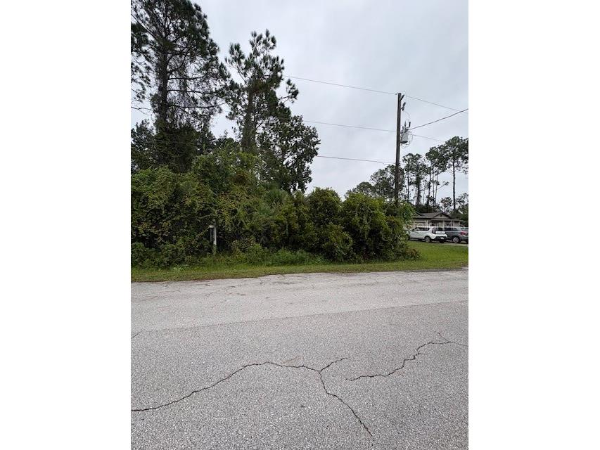 37 Sederholm Path Palm Coast FL 32164 O6362822 image8