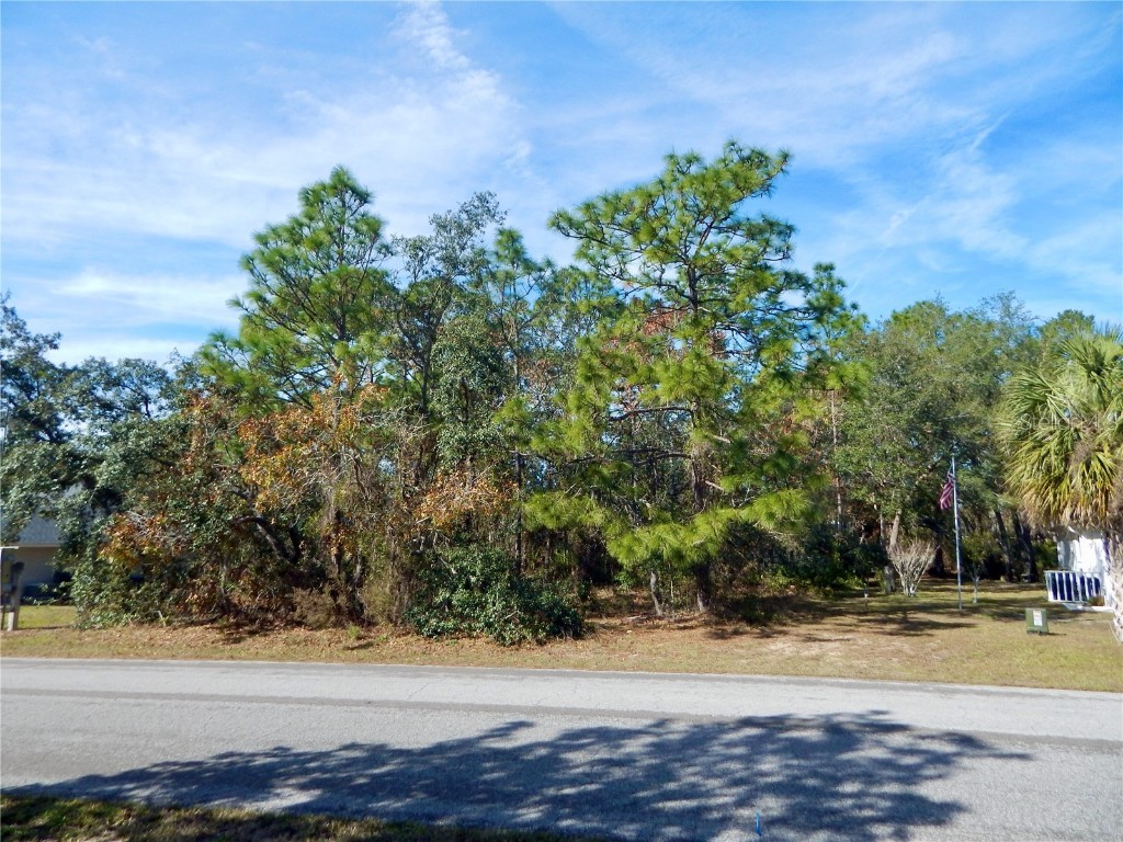 37 Speceberry Circle Homosassa FL 34446 TB8334683 image1