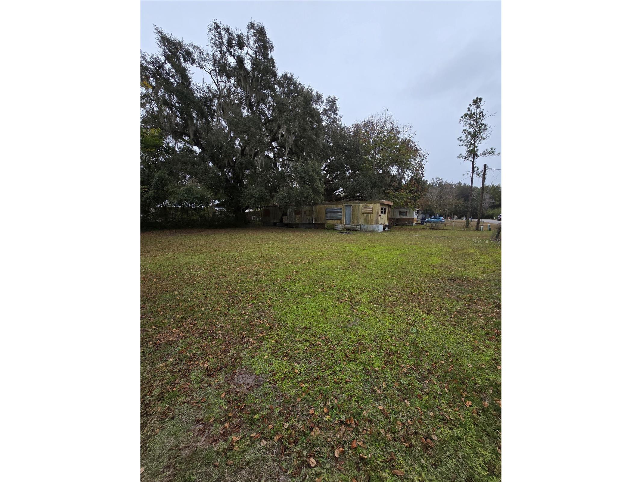 37 SW 3rd Street Webster FL 33597 TB8468312 image1